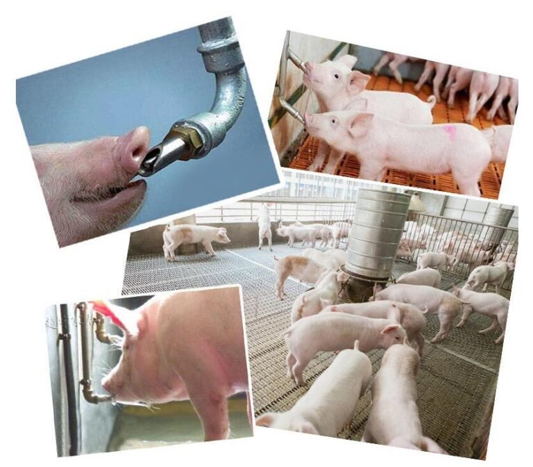 QQ截图20210713145725