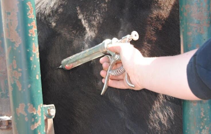 QQ截图20210723141643