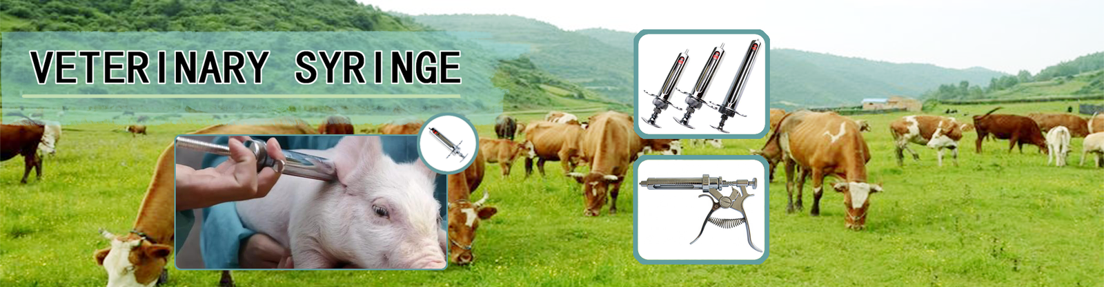 兽用注射器