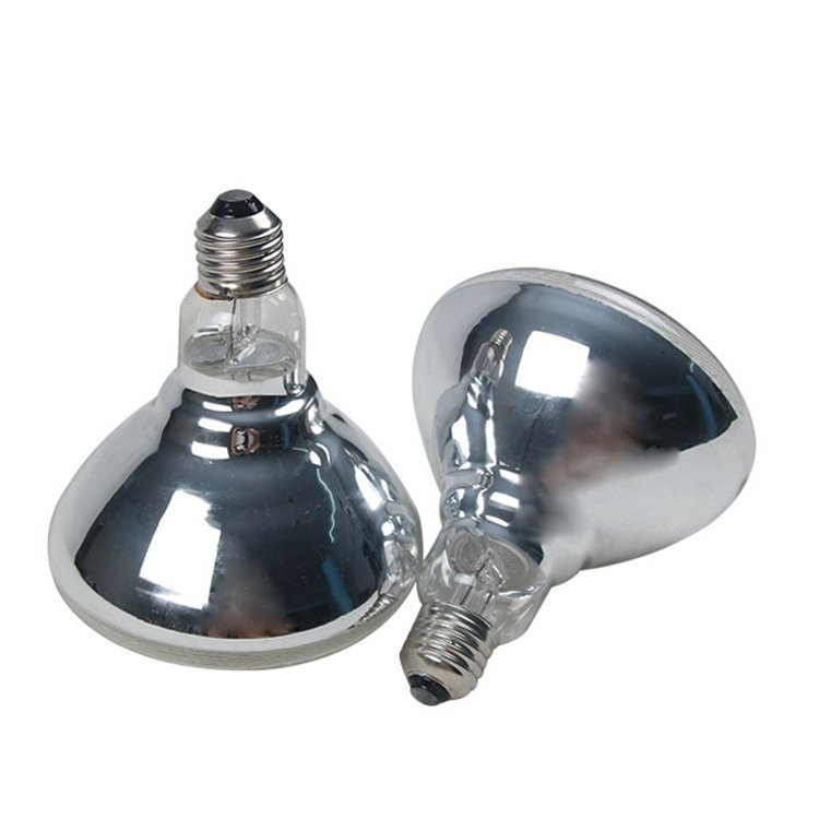 11736602601_620690805