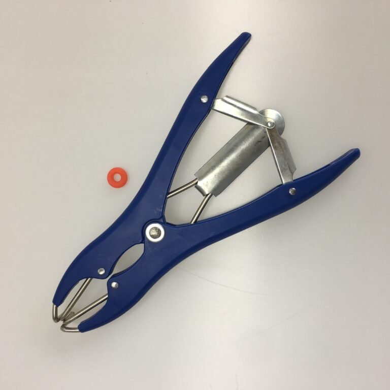 12197116831_1629353584