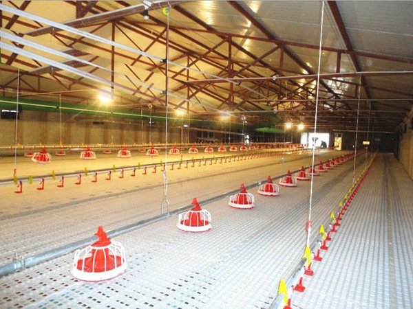 3152538664_1211717021