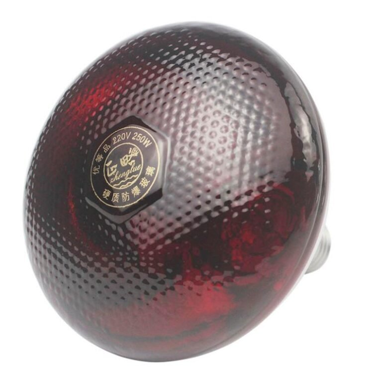 QQ截图20210625092142